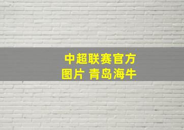 中超联赛官方图片 青岛海牛